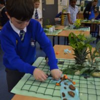 Child adding physical geographical features from plants, Plasticine, rocks etc. on to grid to create a three dimensional map